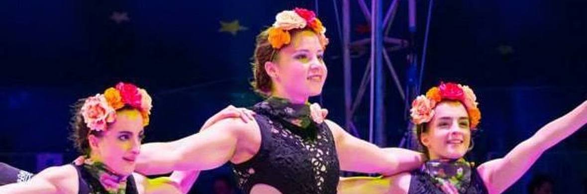 TRIcycle - Performing Arts Acts - StageLync